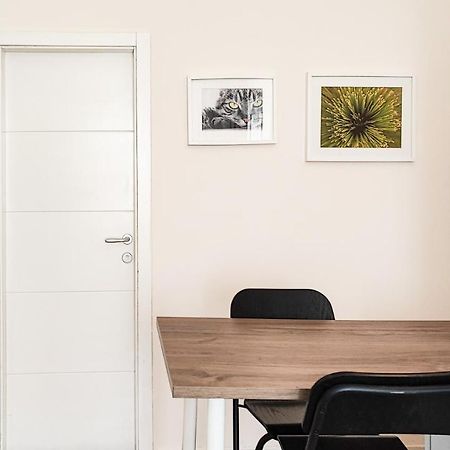 Filinhome Papa Studio 1 Novi Sad Dış mekan fotoğraf