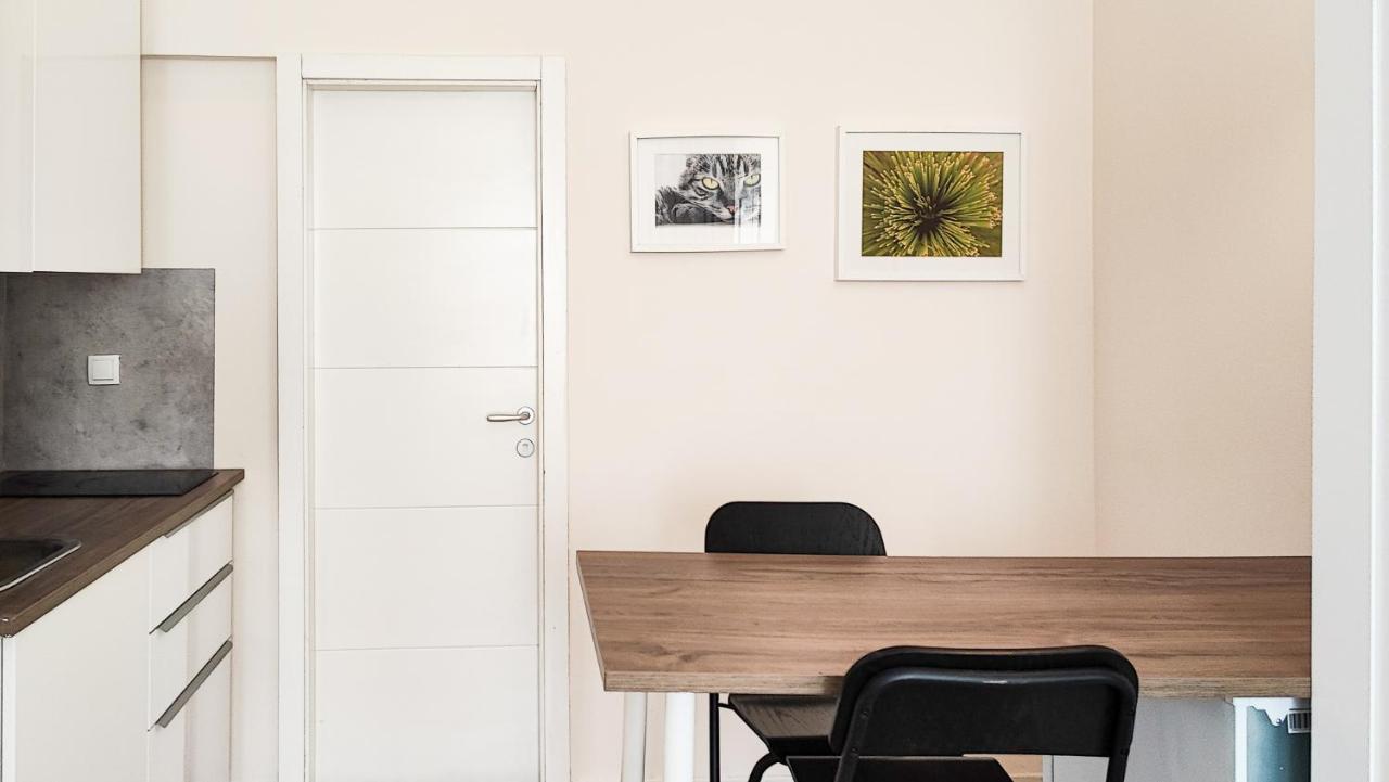 Filinhome Papa Studio 1 Novi Sad Dış mekan fotoğraf